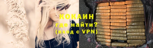 МДПВ Навашино